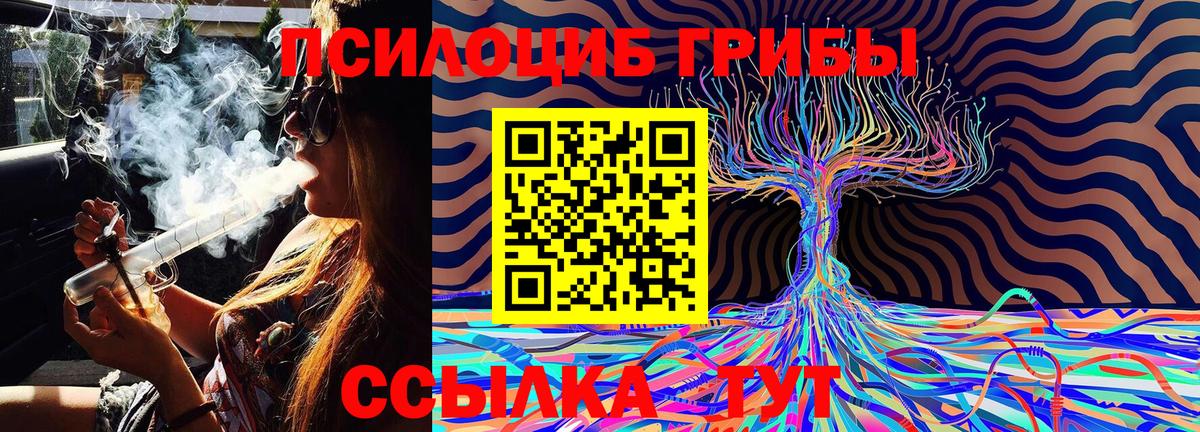 Псилоцибиновые грибы Psilocybine cubensis  Псилоцибиновые грибы Magic Shrooms  цена   Вход с VPN  Оренбург 